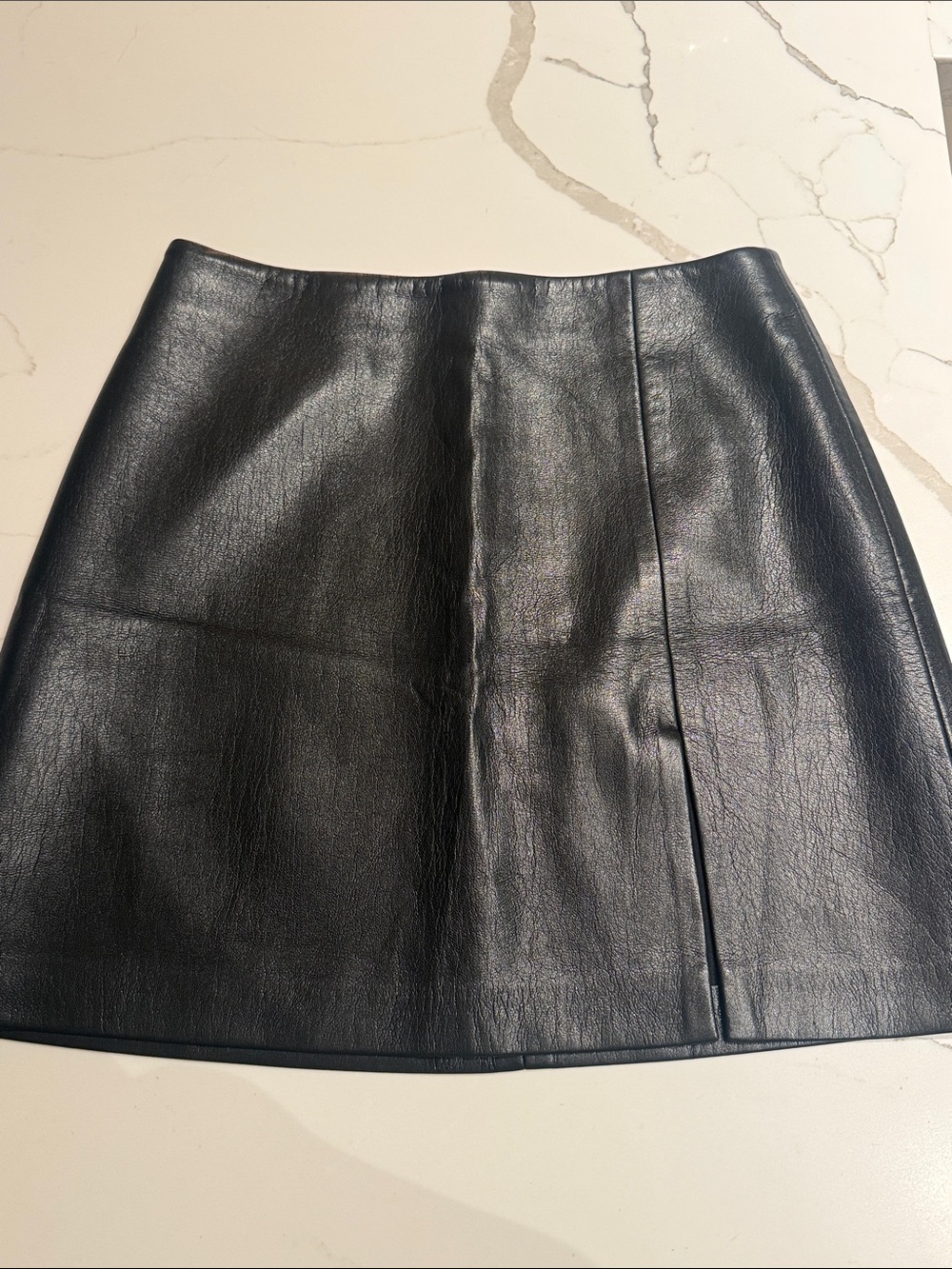 Aritzia Sunday Best Mini Skirt